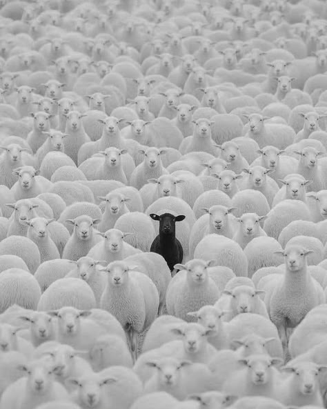 Independent thinking